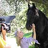 Lane and her majestic and graceful co-star, Goliath, in their film Almost Forgotten.